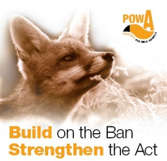buildontheban2.jpg buildontheban2.jpg