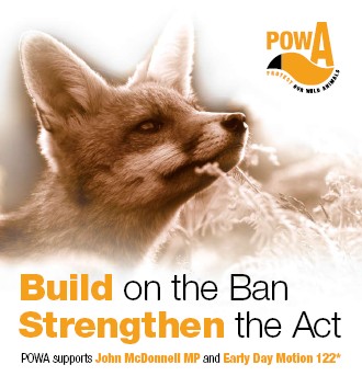 Build on the Ban